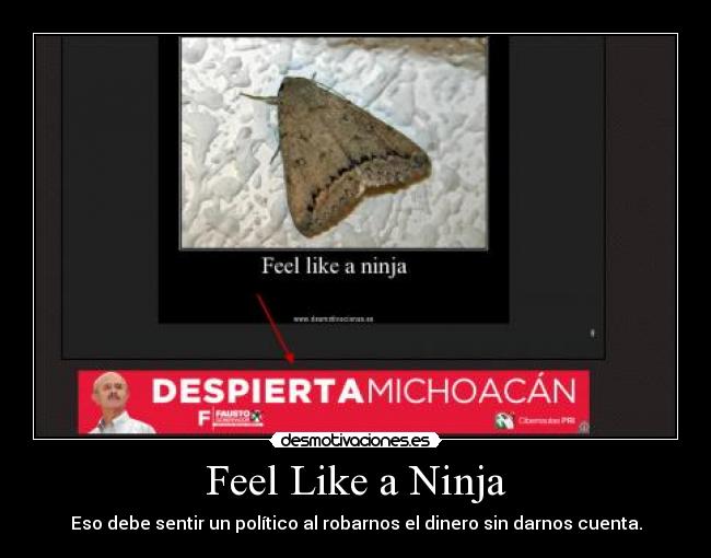 Feel Like a Ninja - 