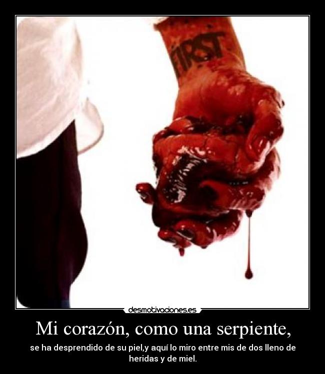 carteles corazon jojo desmotivaciones