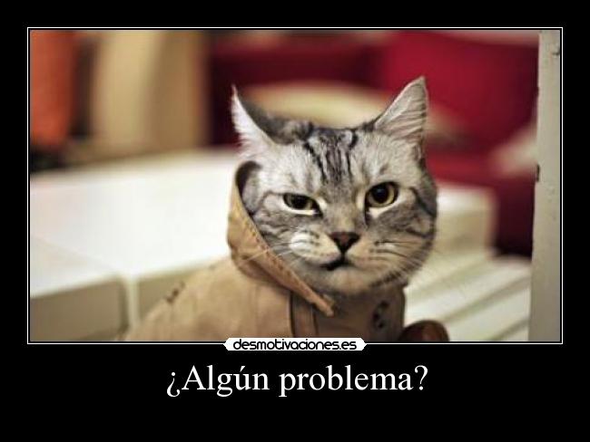 ¿Algún problema? -