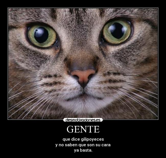 GENTE - 