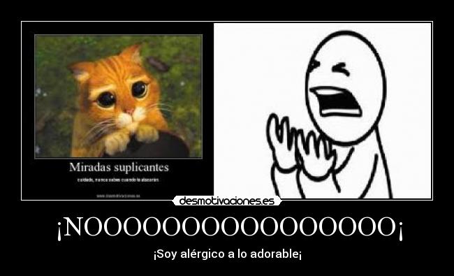 ¡NOOOOOOOOOOOOOOOO¡ -