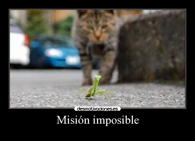 carteles imposible mision imposible desmotivaciones