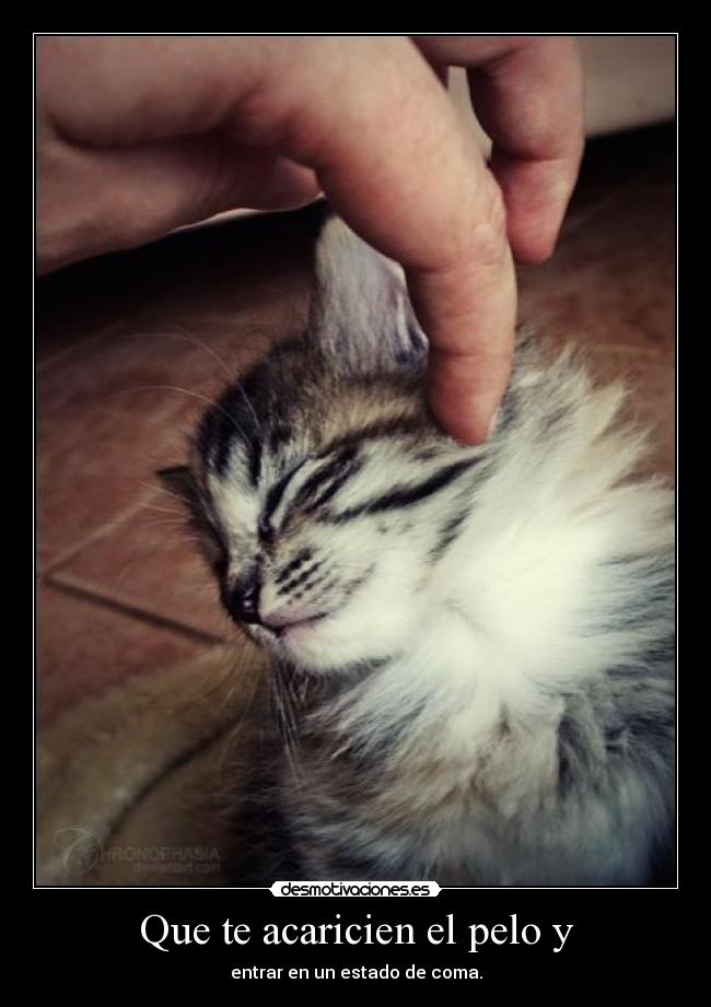 Que te acaricien el pelo y -
