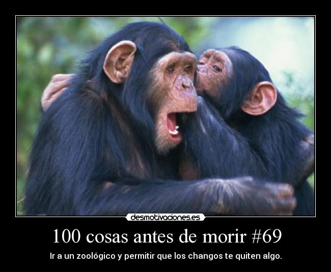 100 cosas antes de morir #69 - Ir a un zoológico y permitir que los changos te quiten algo.