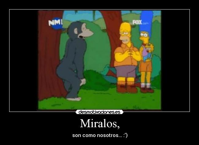 Miralos, - son como nosotros... :)