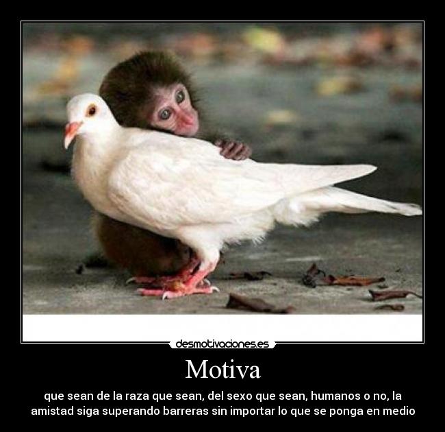 Motiva - que sean de la raza que sean, del sexo que sean, humanos o no, la
amistad siga superando barreras sin importar lo que se ponga en medio