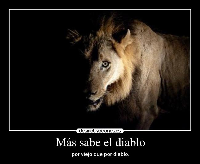 carteles experiencia nos hace superiores mas sbe por ser viejo ser myrniz desmotivaciones