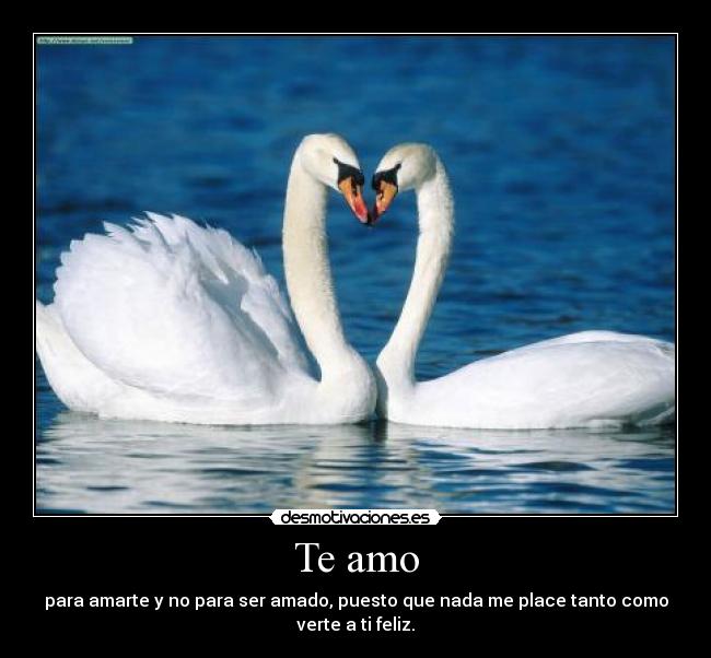 Te amo - para amarte y no para ser amado, puesto que nada me place tanto como verte a ti feliz.