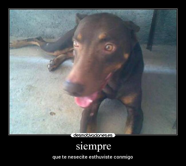 siempre - que te nesecite esthuviste conmigo 