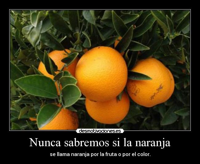Nunca sabremos si la naranja - se llama naranja por la fruta o por el color.