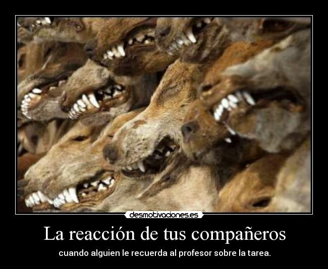 carteles escuela desmotivaciones