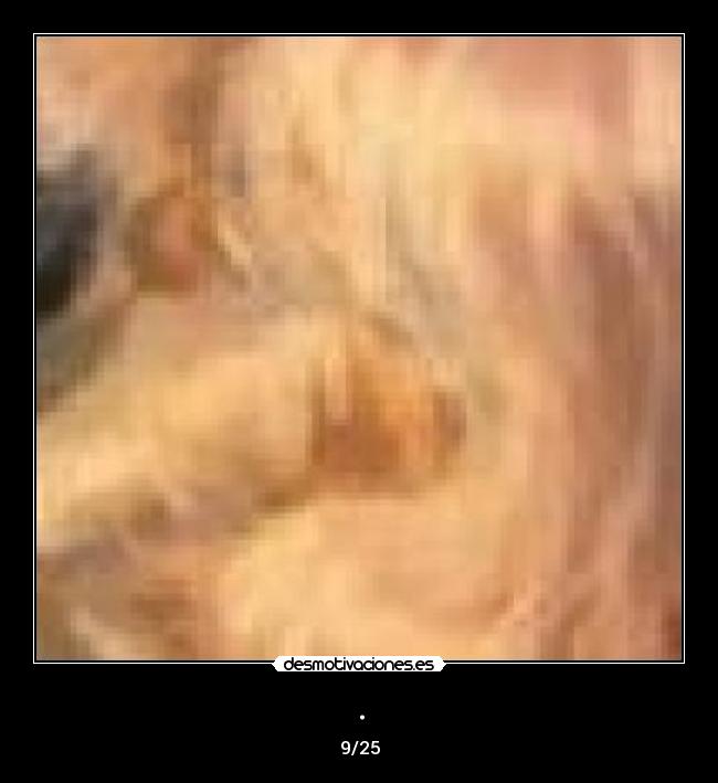 carteles jsusd desmotivaciones