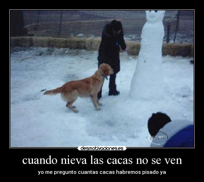 cuando nieva las cacas no se ven - yo me pregunto cuantas cacas habremos pisado ya