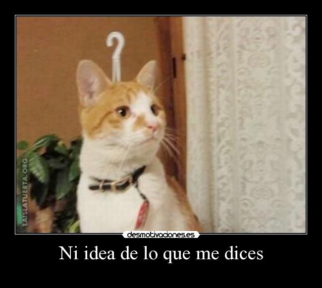 Ni idea de lo que me dices -