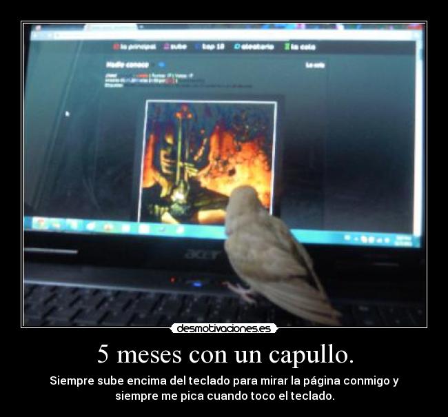 carteles mis etiquetas son mias niki resubido desmotivaciones