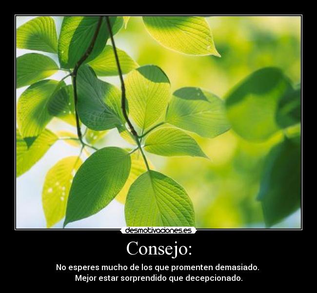 Consejo: - No esperes mucho de los que promenten demasiado.
Mejor estar sorprendido que decepcionado.