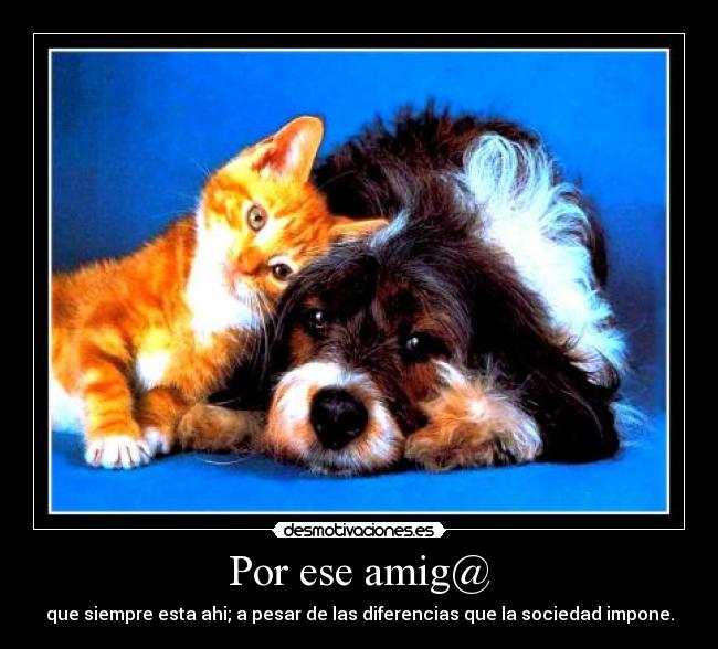 Por ese amig@ - que siempre esta ahi; a pesar de las diferencias que la sociedad impone.