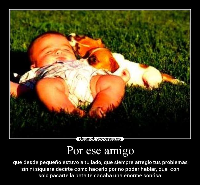Por ese amigo - que desde pequeño estuvo a tu lado, que siempre arreglo tus problemas
sin ni siquiera decirte como hacerlo por no poder hablar, que con
solo pasarte la pata te sacaba una enorme sonrisa.