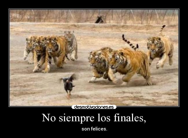 No siempre los finales, - son felices.