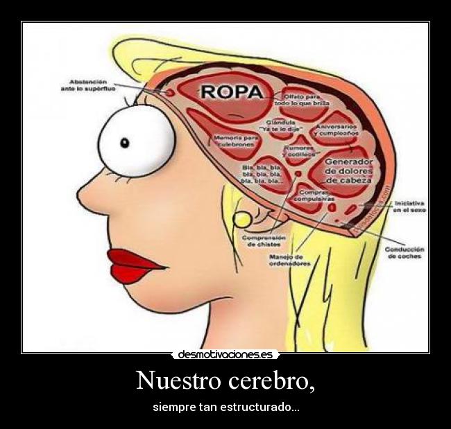 Nuestro cerebro, -