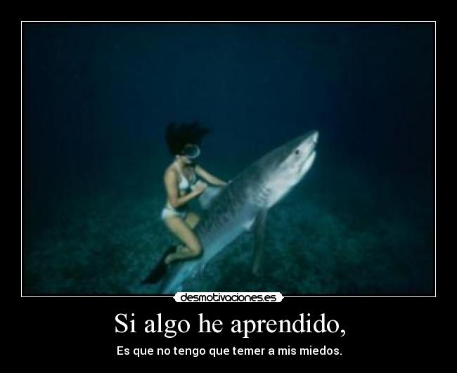 Si algo he aprendido, - Es que no tengo que temer a mis miedos.