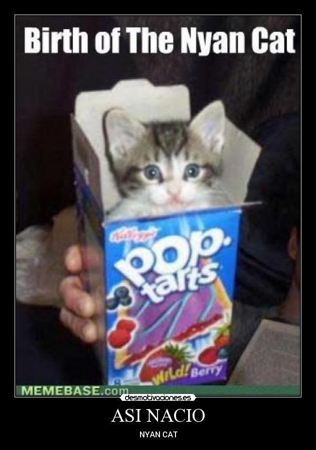 ASI NACIO - NYAN CAT