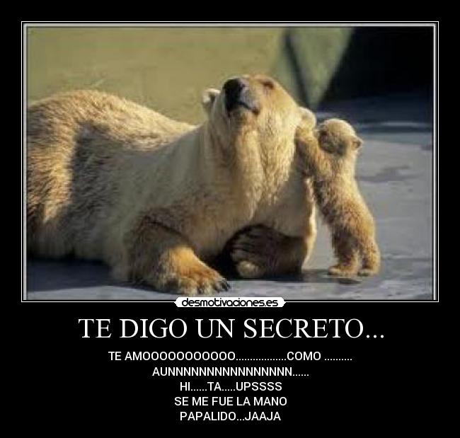 carteles chily desmotivaciones