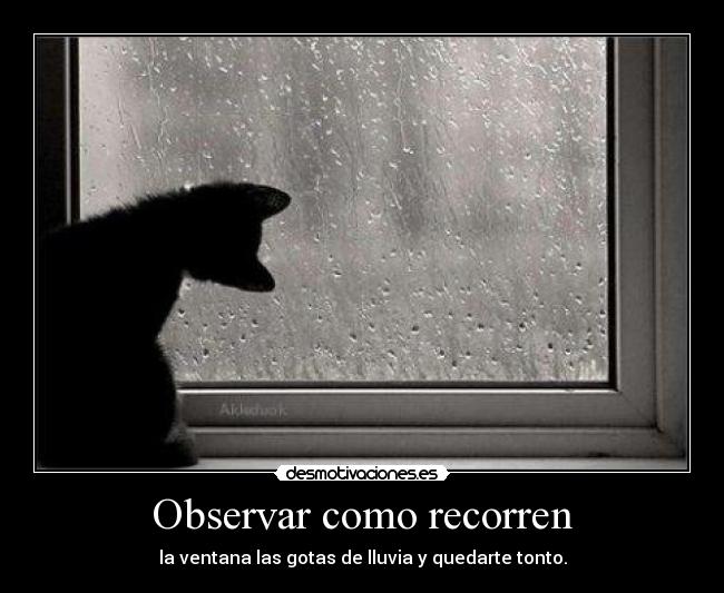 carteles akleduok desmotivaciones