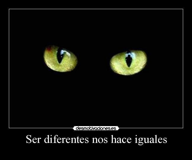 Ser diferentes nos hace iguales - 