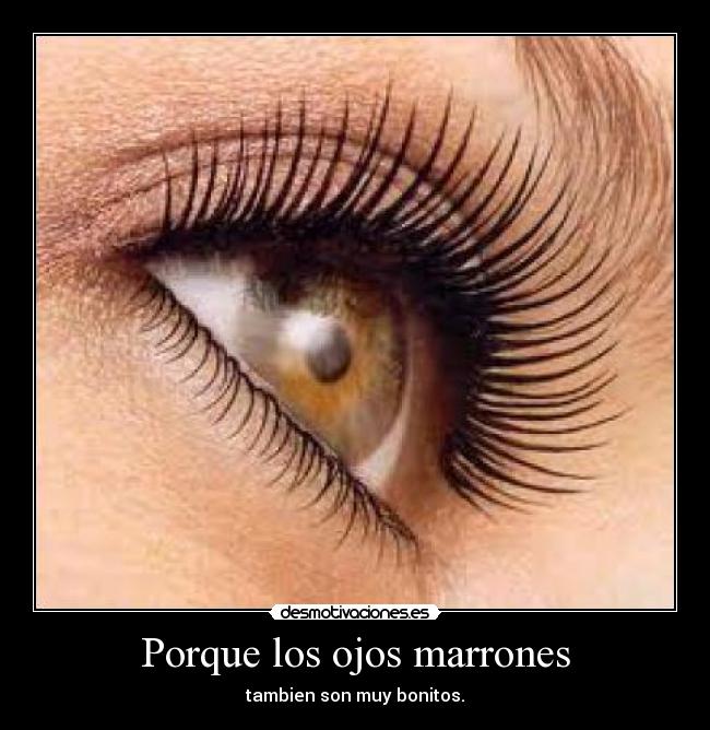 Porque los ojos marrones - 