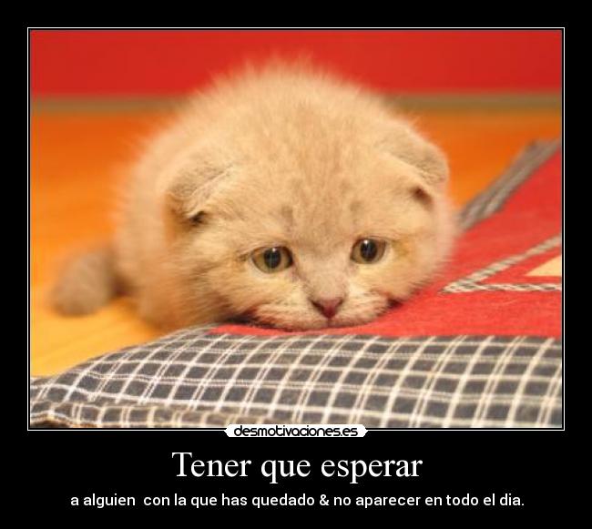 Tener que esperar - a alguien con la que has quedado & no aparecer en todo el dia.