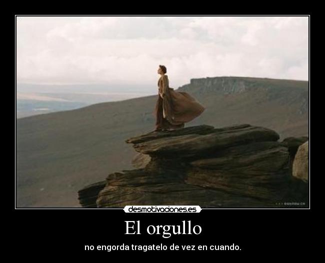 carteles orgullo desmotivaciones