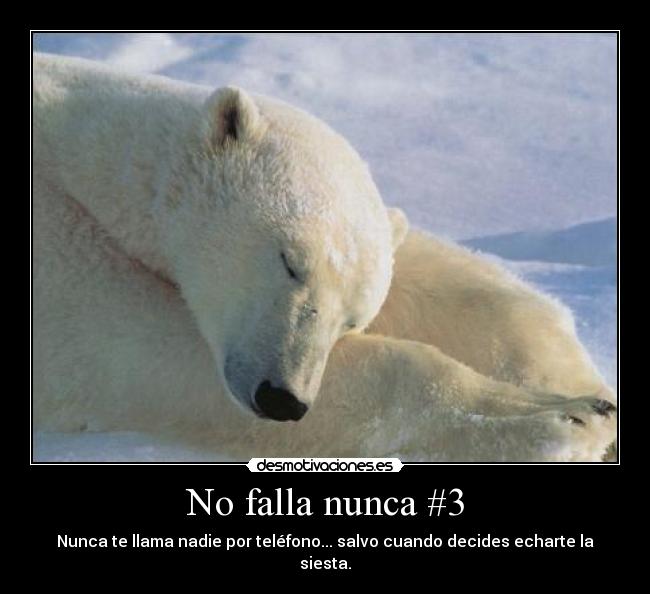 No falla nunca #3 - 