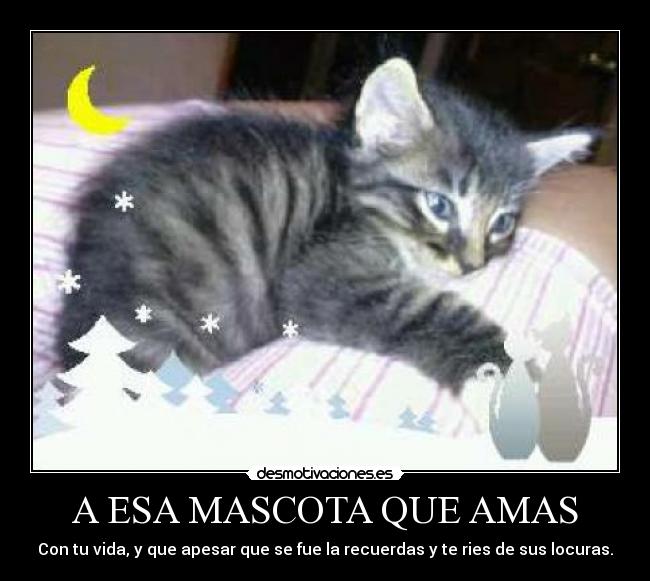 A ESA MASCOTA QUE AMAS -