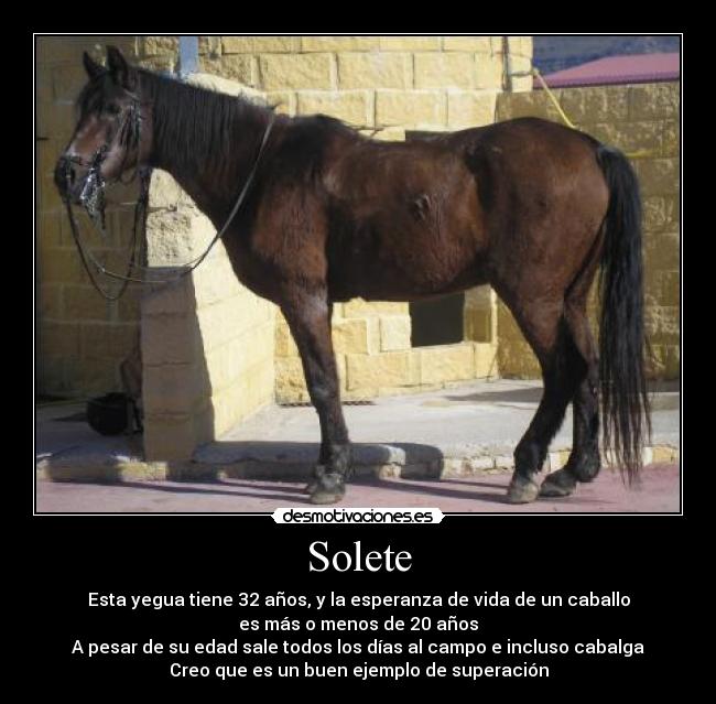 Solete - 