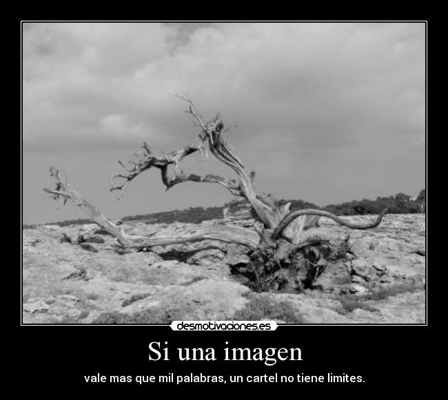 Si una imagen - vale mas que mil palabras, un cartel no tiene limites.