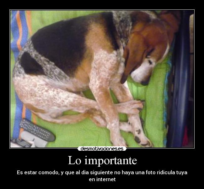 Lo importante - 