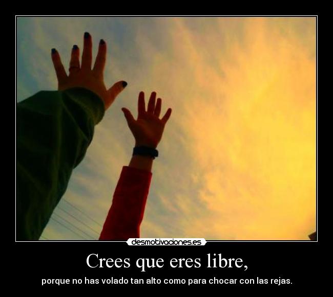 Crees que eres libre, - porque no has volado tan alto como para chocar con las rejas.