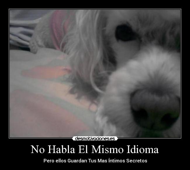 No Habla El Mismo Idioma -