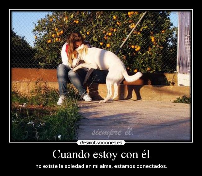 Cuando estoy con él - no existe la soledad en mi alma, estamos conectados.