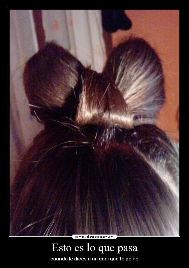 Esto es lo que pasa - cuando le dices a un cani que te peine.