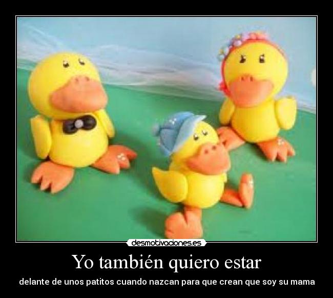 Yo también quiero estar - delante de unos patitos cuando nazcan para que crean que soy su mama