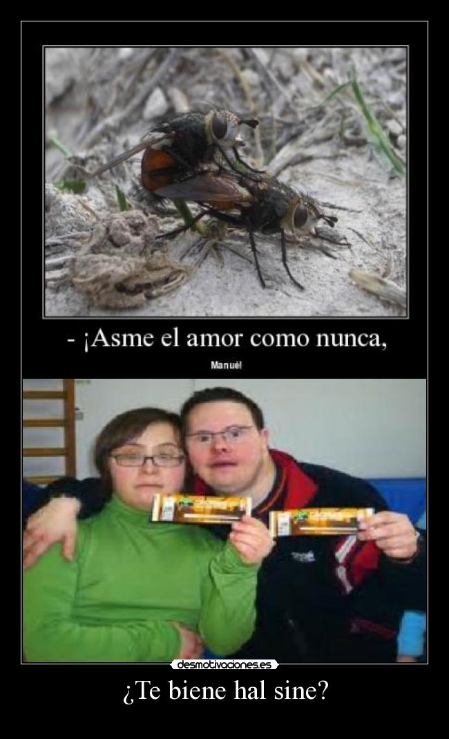 ¿Te biene hal sine? -