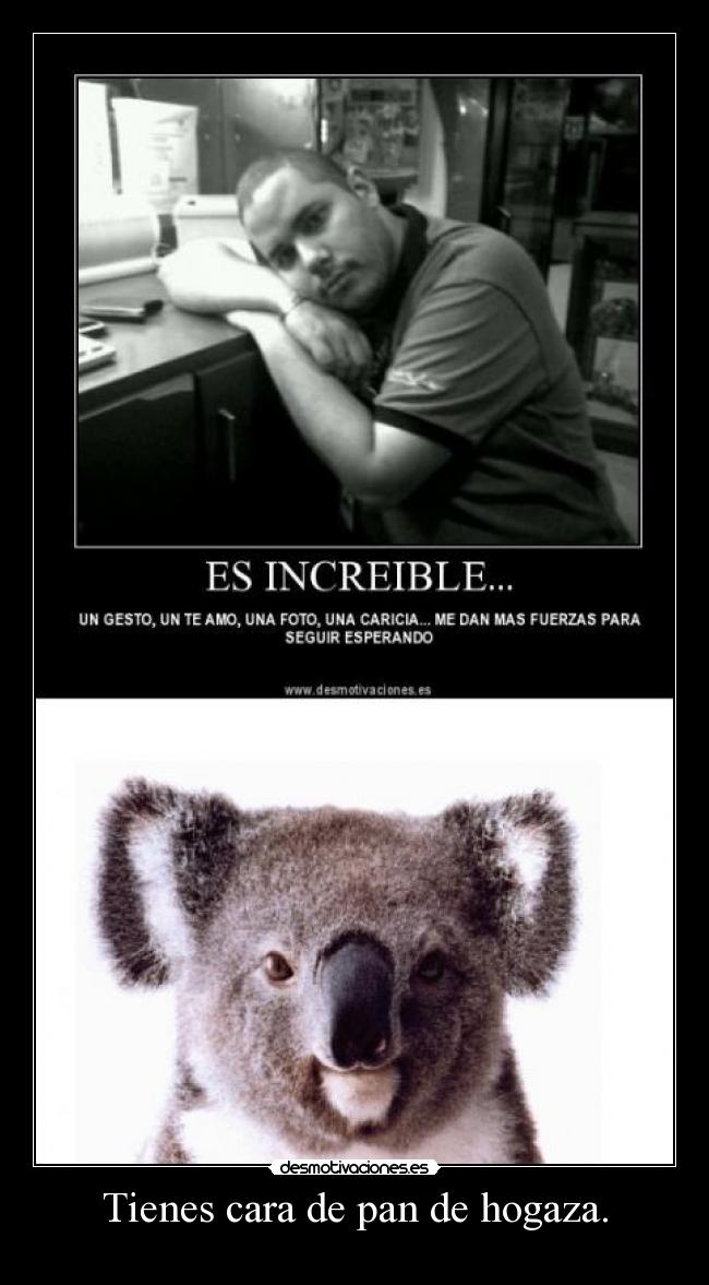 carteles kolangi for president clanng clantigretoneh desmotivaciones