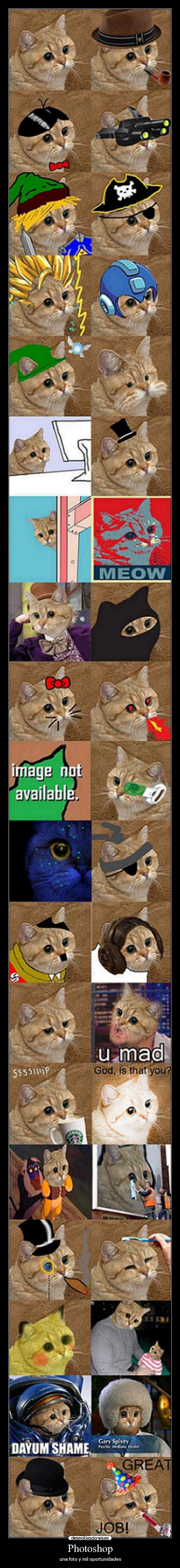 Photoshop - una foto y mil oportunidades