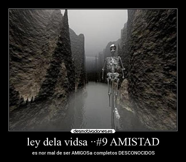 ley dela vidsa ··#9 AMISTAD -
