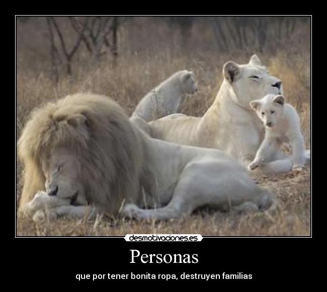 Personas - 