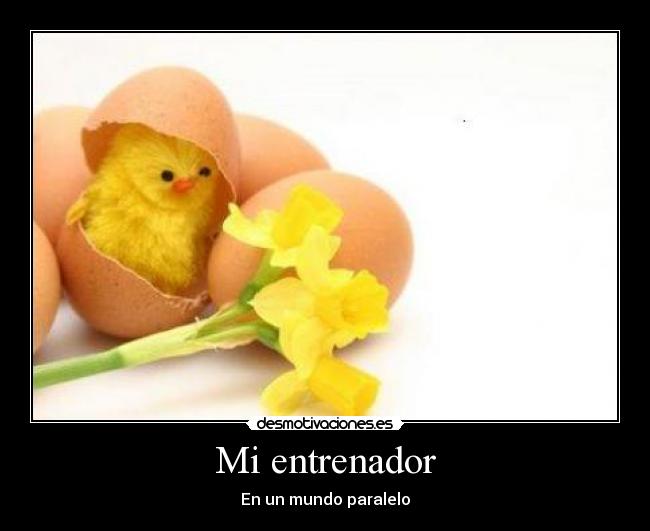 carteles pollito desmotivaciones