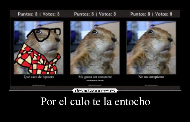 carteles las ardillas molan desmotivaciones