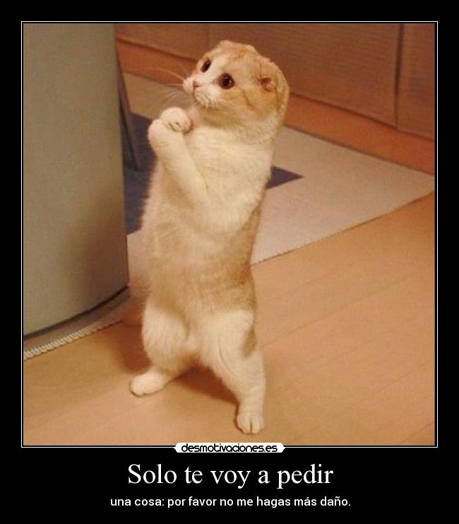 Solo te voy a pedir - una cosa: por favor no me hagas más daño.